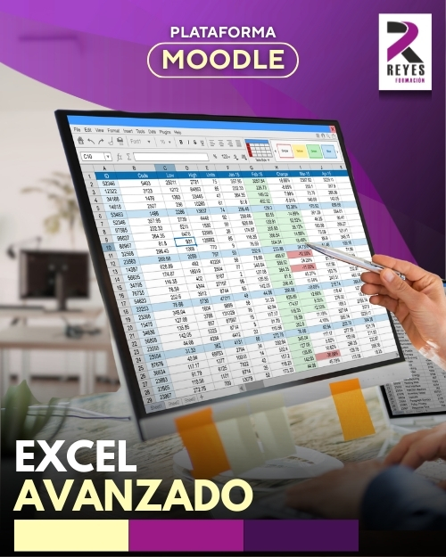 EXCEL AVANZADO